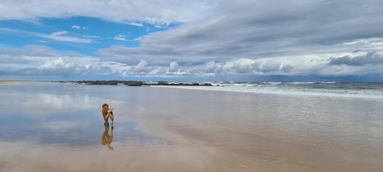 Diamond Beach Resort, Mid North Coast Nsw Bagian luar foto