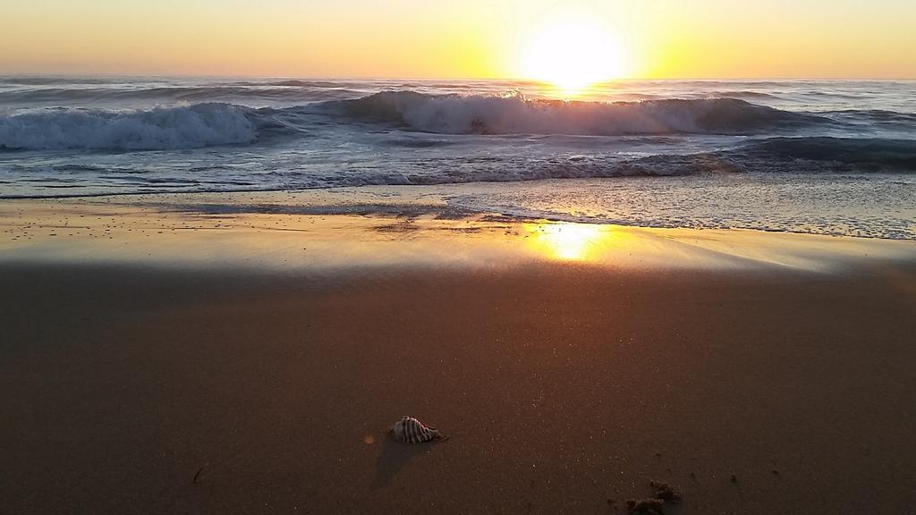 Diamond Beach Resort, Mid North Coast Nsw Bagian luar foto